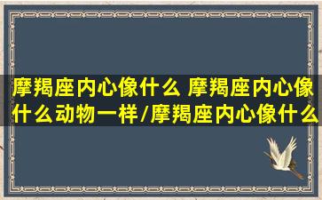 摩羯座内心像什么 摩羯座内心像什么动物一样/摩羯座内心像什么 摩羯座内心像什么动物一样-我的网站